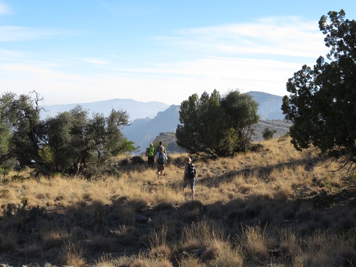 Oman Western Hajar Mts: Jebel Akhdar, Qiyut to Ar Roos Traverse , High ridge, heading east, Walkopedia