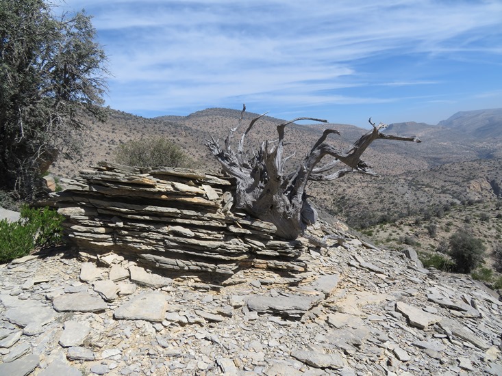 Oman Western Hajar Mts: Jebel Akhdar, Qiyut to Ar Roos Traverse , Natural sculpture, Walkopedia