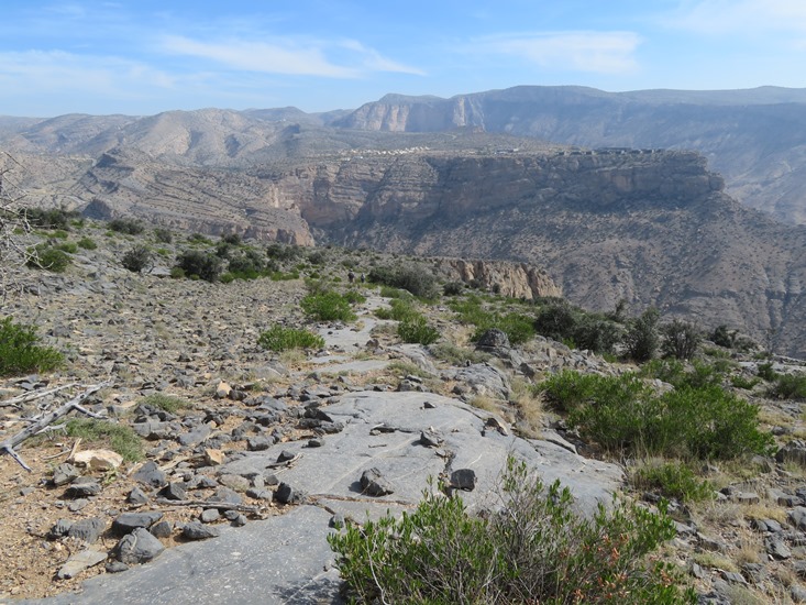 Oman Western Hajar Mts: Jebel Akhdar, Qiyut to Ar Roos Traverse , Limestone pavement with millions of fossils, Walkopedia