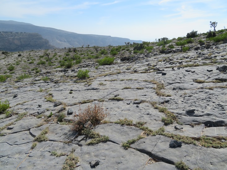 Oman Western Hajar Mts: Jebel Akhdar, Qiyut to Ar Roos Traverse , Limestone pavement, Walkopedia