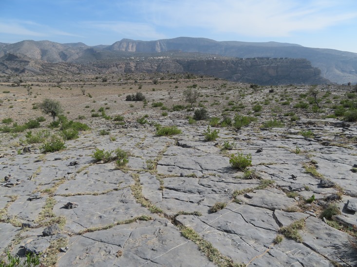 Oman Western Hajar Mts: Jebel Akhdar, Qiyut to Ar Roos Traverse , Limestone pavement, Walkopedia