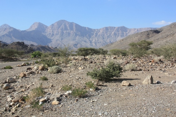 Oman Western Hajar Mts: Jebel Akhdar, Jebel Shams, Along the road to Jebel Shams , Walkopedia