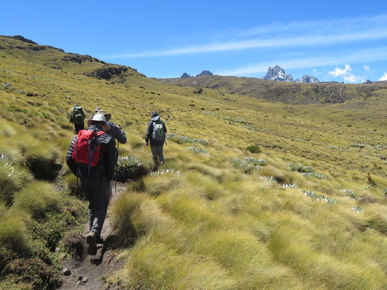 Kenya Mount Kenya, Sirimon Route , , Walkopedia