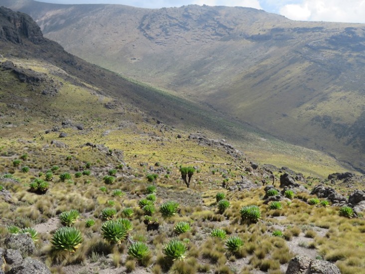 Kenya Mount Kenya, Sirimon Route , Mackinder valley first view, Walkopedia