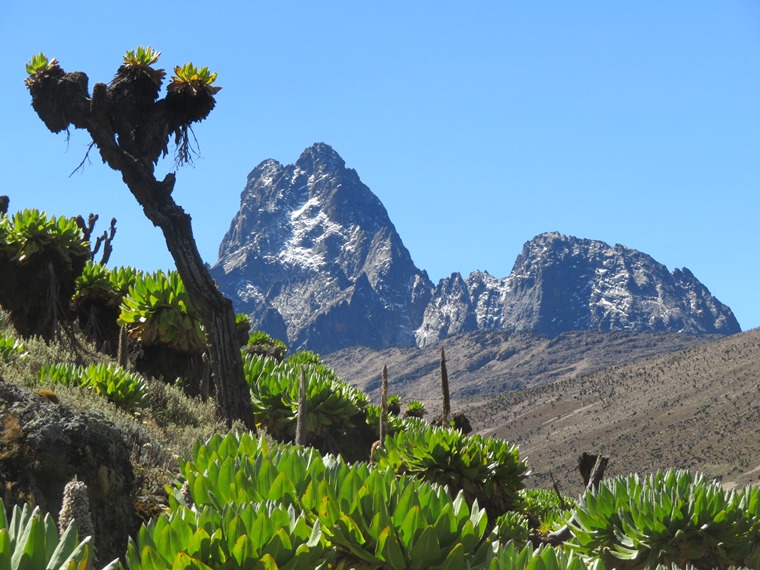 Kenya Mount Kenya, Sirimon Route , Batian from Mackinder valley flank, Walkopedia