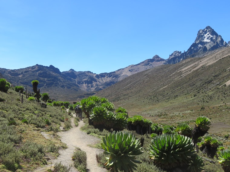 Kenya Mount Kenya, Sirimon Route , , Walkopedia