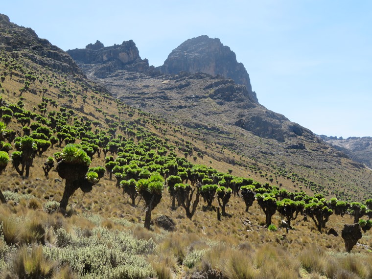 Kenya Mount Kenya, Sirimon Route , , Walkopedia