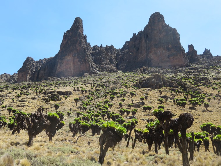 Kenya Mount Kenya, Sirimon Route , Mackinder valley flank, Walkopedia