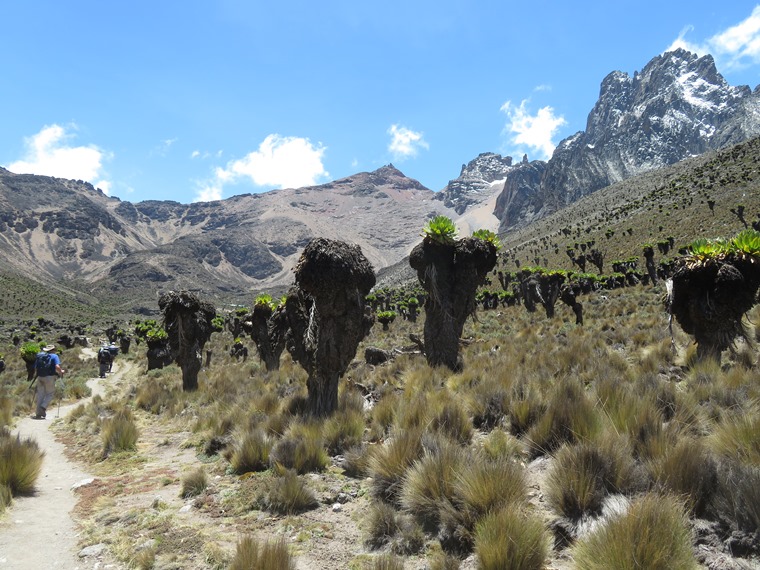 Kenya Mount Kenya, Sirimon Route , , Walkopedia