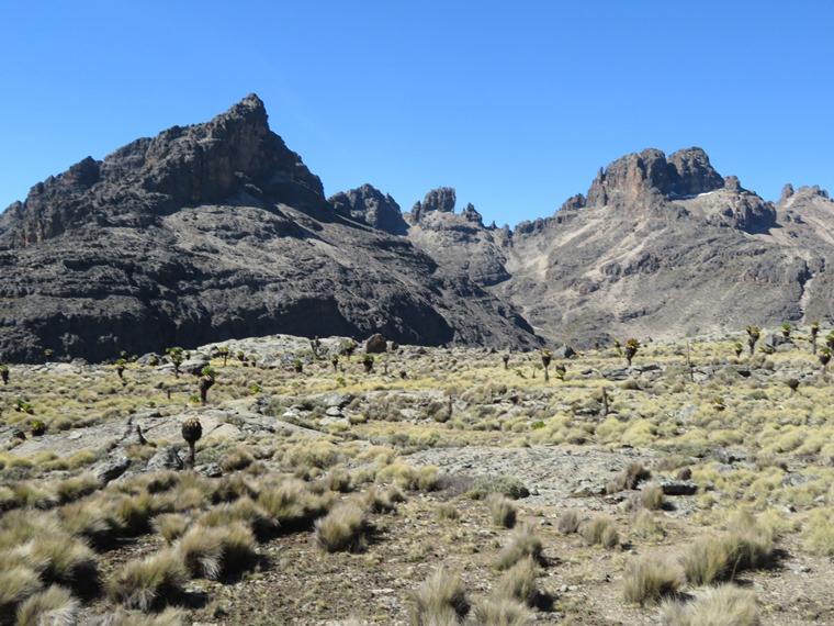 Kenya Mount Kenya, Chogoria Route, Temple Flats, Walkopedia