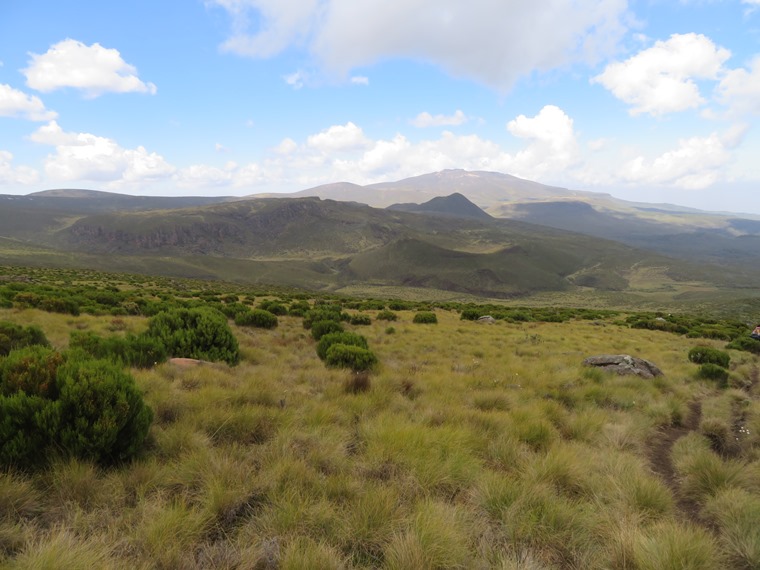 Kenya Mount Kenya, Chogoria Route, Mid slopes, Walkopedia