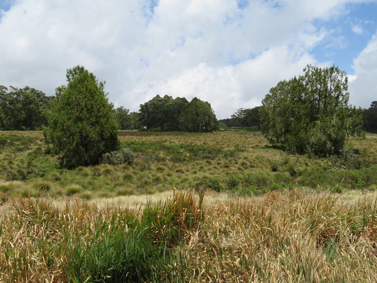 Kenya Mount Kenya, Chogoria Route, Fields and forest above Banda Huts, Walkopedia