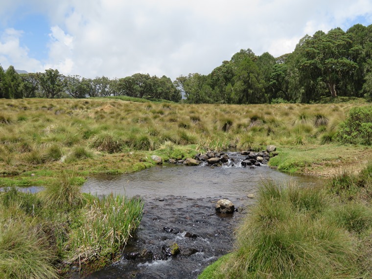 Kenya Mount Kenya, Chogoria Route, Chogoria, Fields and forest above Banda Huts, Walkopedia