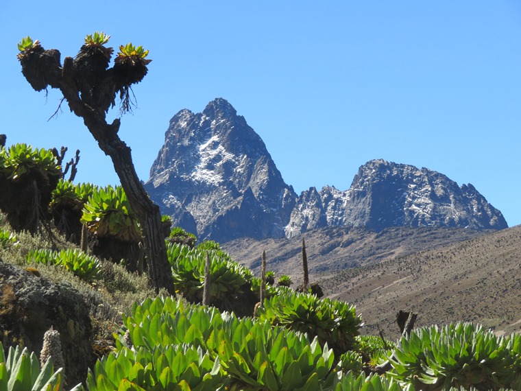 Kenya Mount Kenya, Mount Kenya, Batian from Mackinder valley flank, Walkopedia