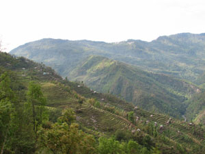 India Sikkim and nearby, Goecha La/Dzongri, Sikkim Terraces, Walkopedia