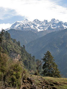 India Sikkim and nearby, Goecha La/Dzongri, Jouno (5,950m) From Tshoka, Walkopedia