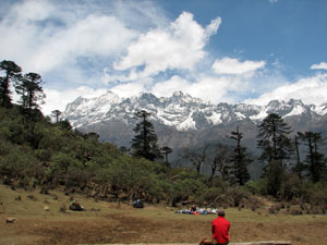 India Sikkim and nearby, Goecha La/Dzongri, Phedang meadow, Walkopedia