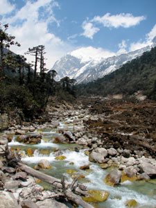 India Sikkim and nearby, Goecha La/Dzongri, North up Prek Chu valley, Walkopedia