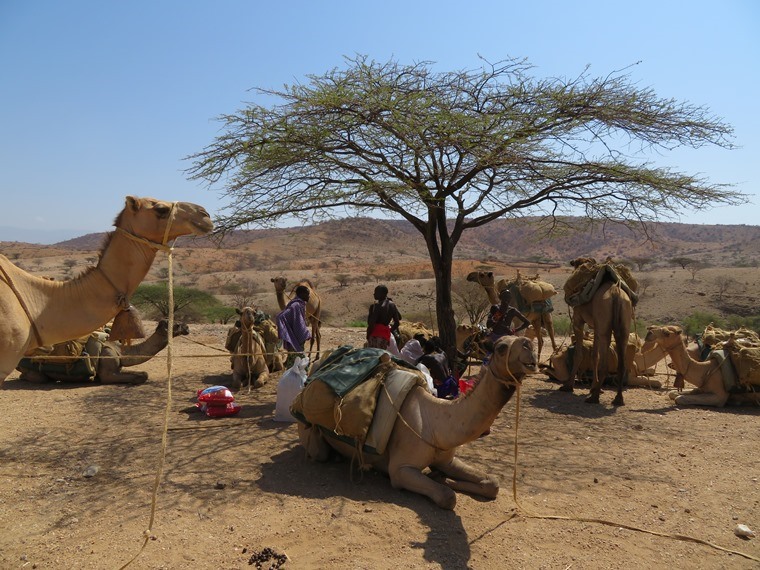 Kenya, Matthews Range Walking Safari, Matthews Range Walking Safari, Walkopedia