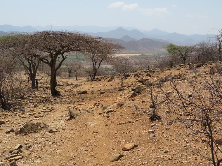 Kenya, Matthews Range Walking Safari, , Walkopedia