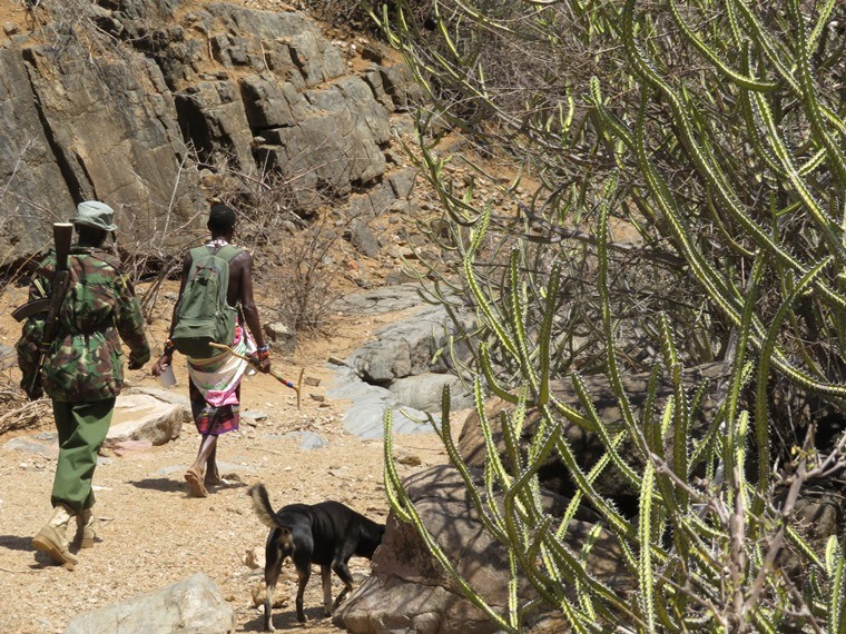 Kenya, Matthews Range Walking Safari, , Walkopedia