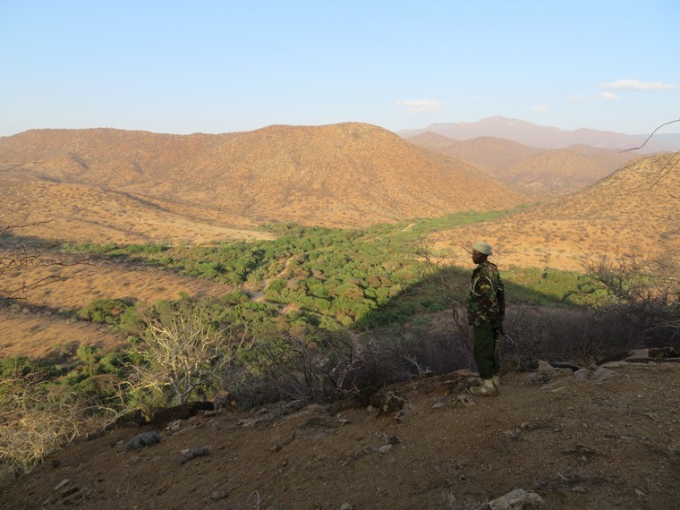 Kenya, Matthews Range Walking Safari, Matthews Range Walking Safari - On conical hill, evening day 1, Walkopedia