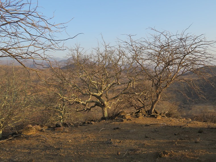 Kenya, Matthews Range Walking Safari, Matthews Range Walking Safari, Walkopedia