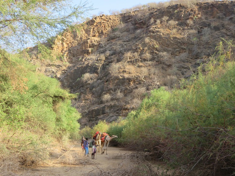 Kenya, Matthews Range Walking Safari, , Walkopedia