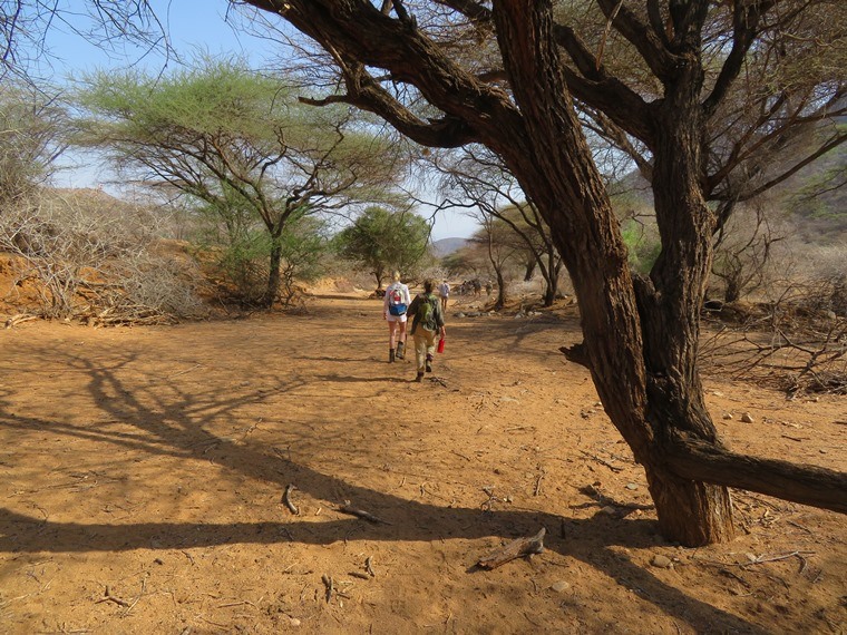 Kenya, Matthews Range Walking Safari, , Walkopedia