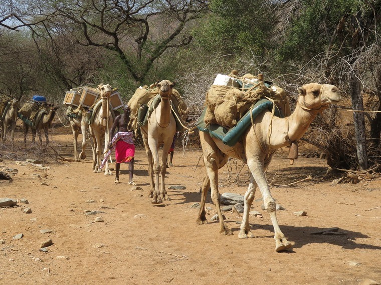 Kenya, Matthews Range Walking Safari, , Walkopedia