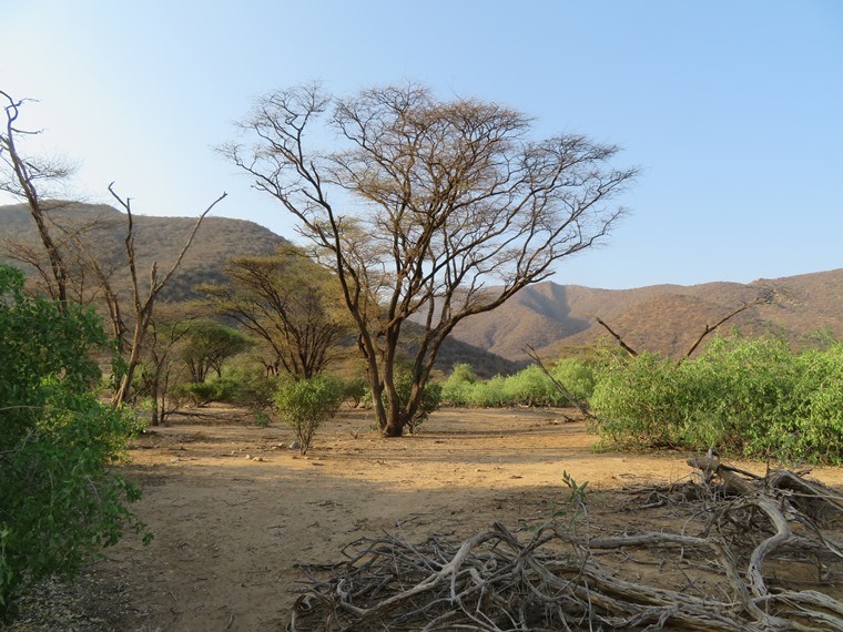 Kenya, Matthews Range Walking Safari, Matthews Range Walking Safari, Walkopedia