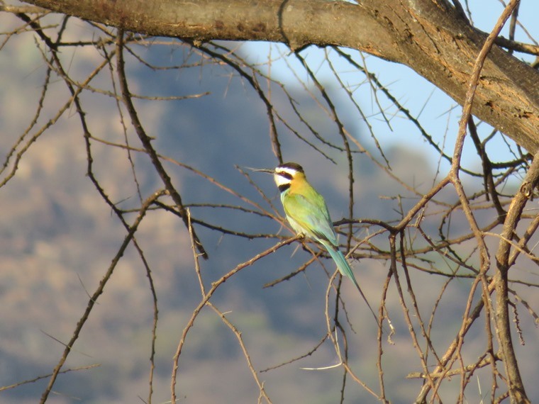 Kenya, Matthews Range Walking Safari, Matthews Range Walking Safari, Walkopedia