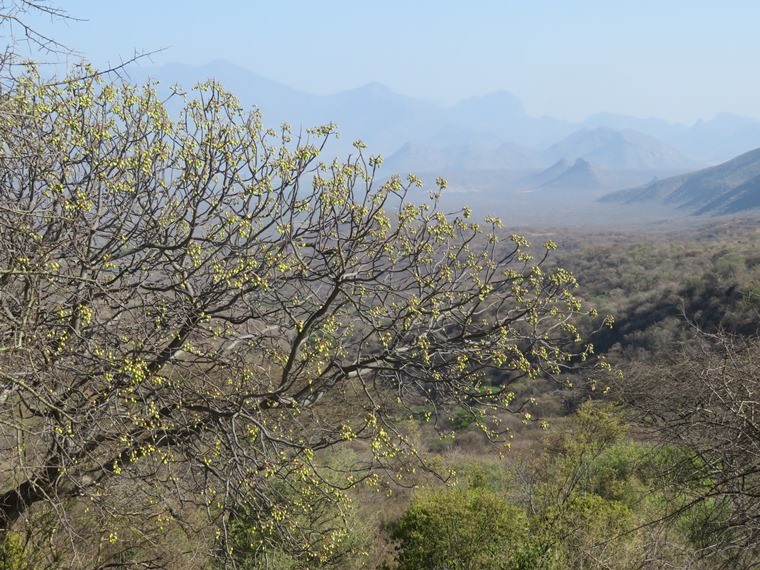 Kenya, Matthews Range Walking Safari, , Walkopedia