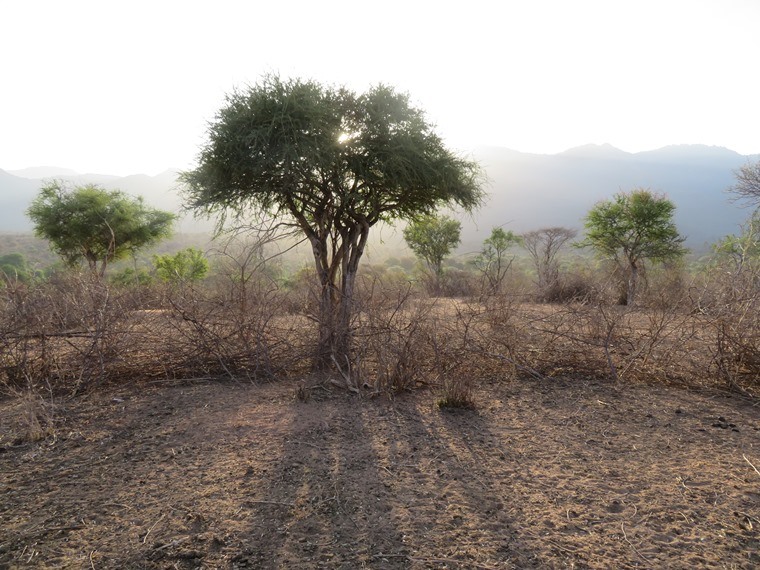 Kenya, Matthews Range Walking Safari, Matthews Range Walking Safari, Walkopedia