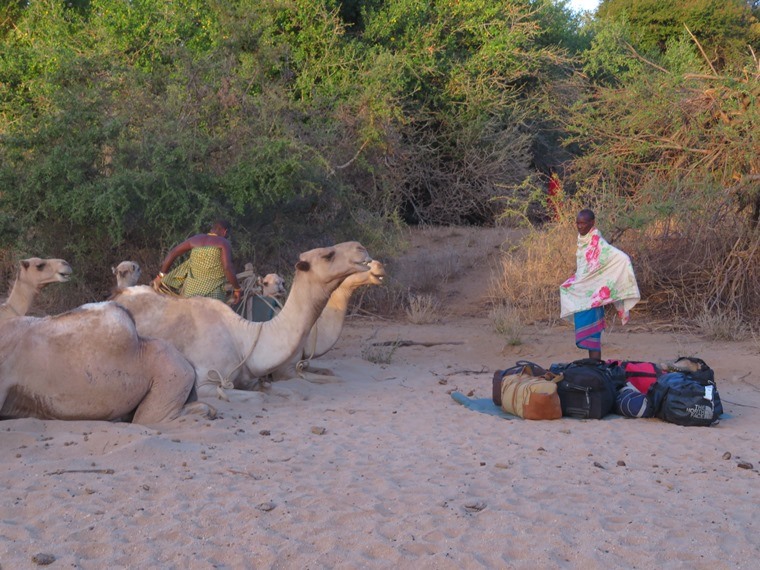 Kenya, Matthews Range Walking Safari, Matthews Range Walking Safari - Day 5, bags ready to load, Walkopedia