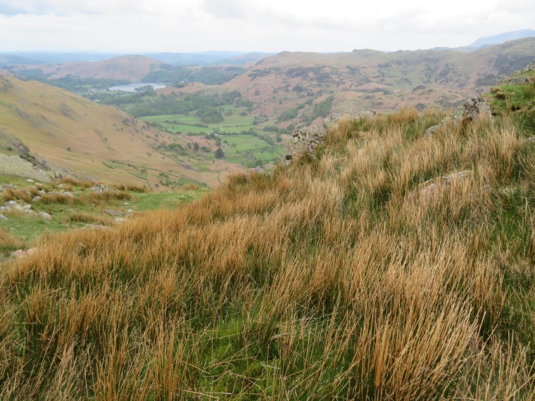 United Kingdom England Lake District, Grasmere / Far Easedale, Bright grasses, Walkopedia