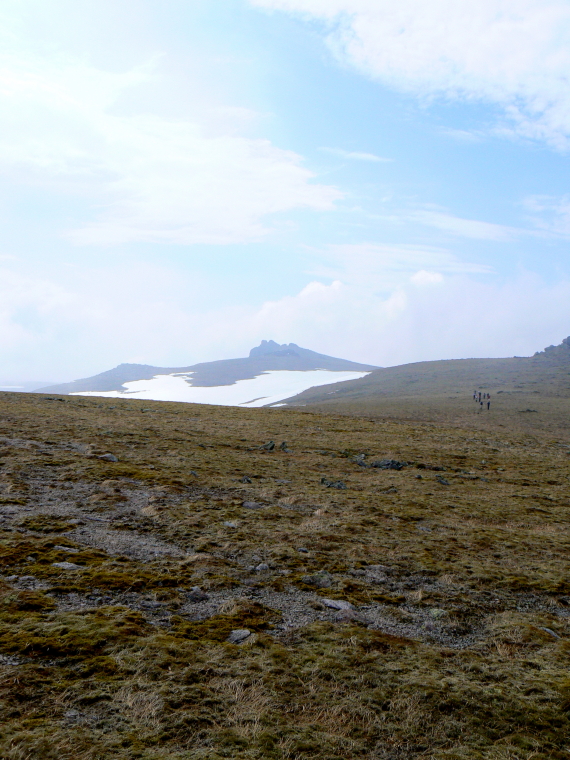 United Kingdom Scotland Cairngorms, Ben Avon, Ben Avon Summit , Walkopedia