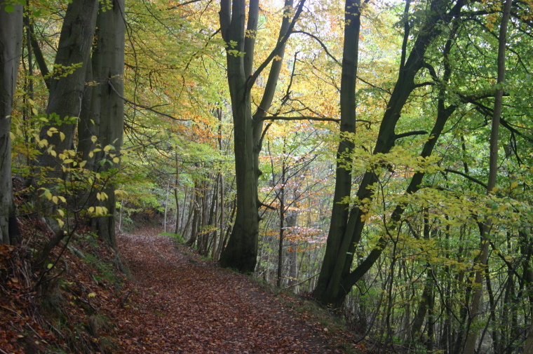 United Kingdom England Cotswolds, The Cotswolds, Cotswold Way 1, Walkopedia