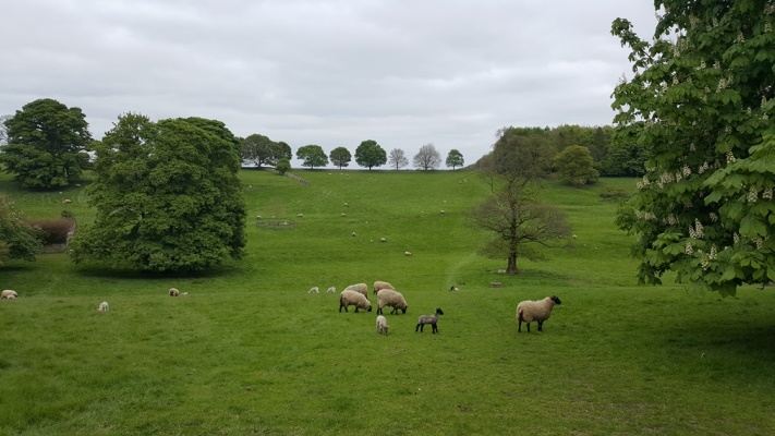 United Kingdom England Cotswolds, Diamond Way, Near Notgrove, Walkopedia