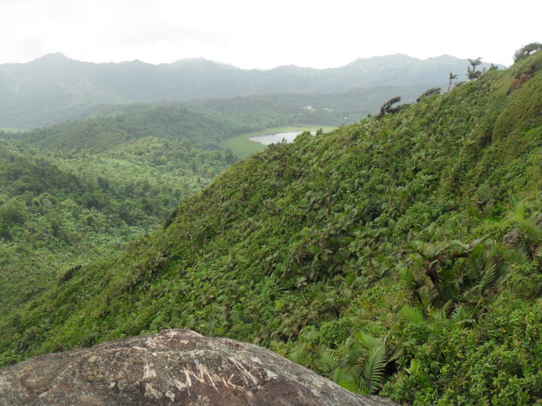 Grenada, Grenada, Climbing Mt Kua Kua, Walkopedia