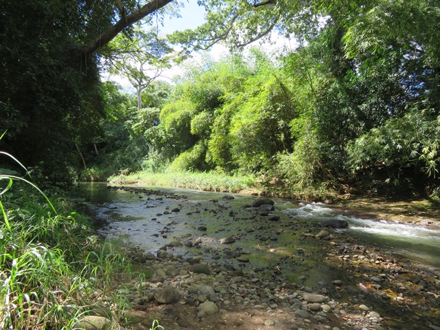 Grenada, Grenada, Above Grenville Walk (13), Walkopedia