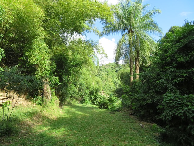 Grenada, Grenada, Above Grenville Walk (2), Walkopedia