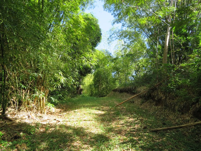 Grenada, Grenada, Above Grenville Walk (5), Walkopedia