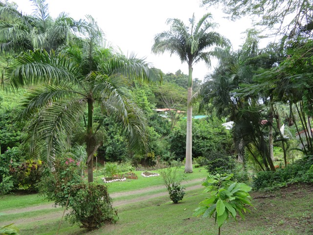 Grenada, Belmont Estate, , Walkopedia