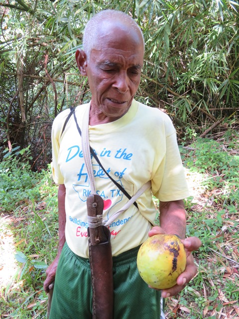 Grenada, Above Grenville, , Walkopedia