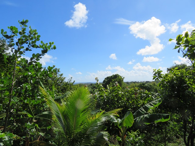 Grenada, Above Grenville, , Walkopedia