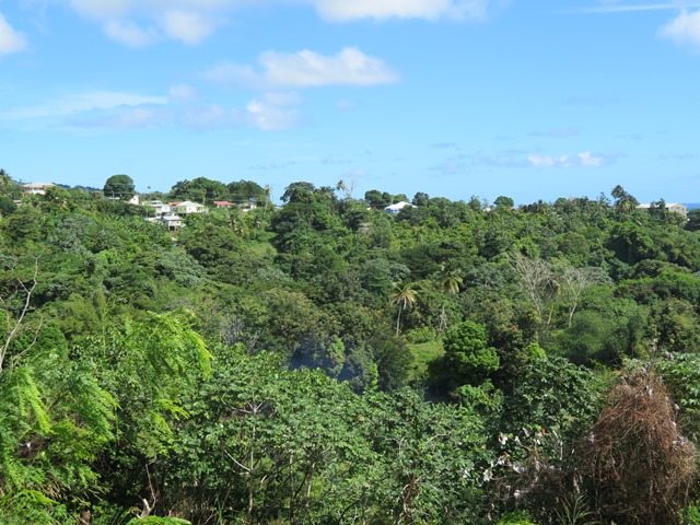 Grenada, Above Grenville, , Walkopedia