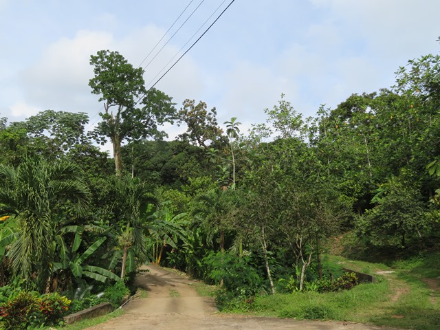 Grenada, Above Grenville, , Walkopedia