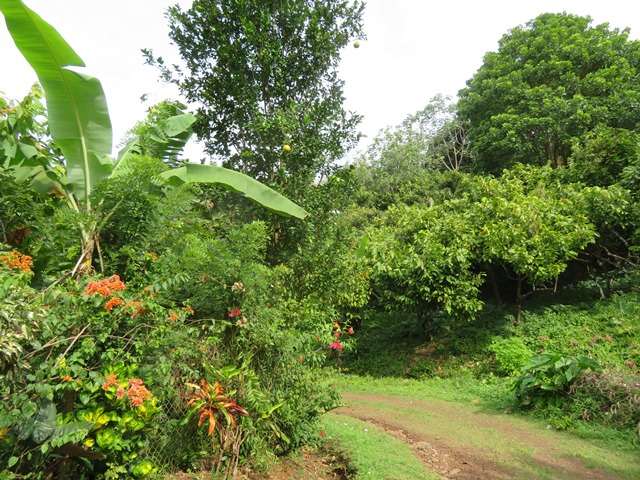 Grenada, Above Grenville, , Walkopedia