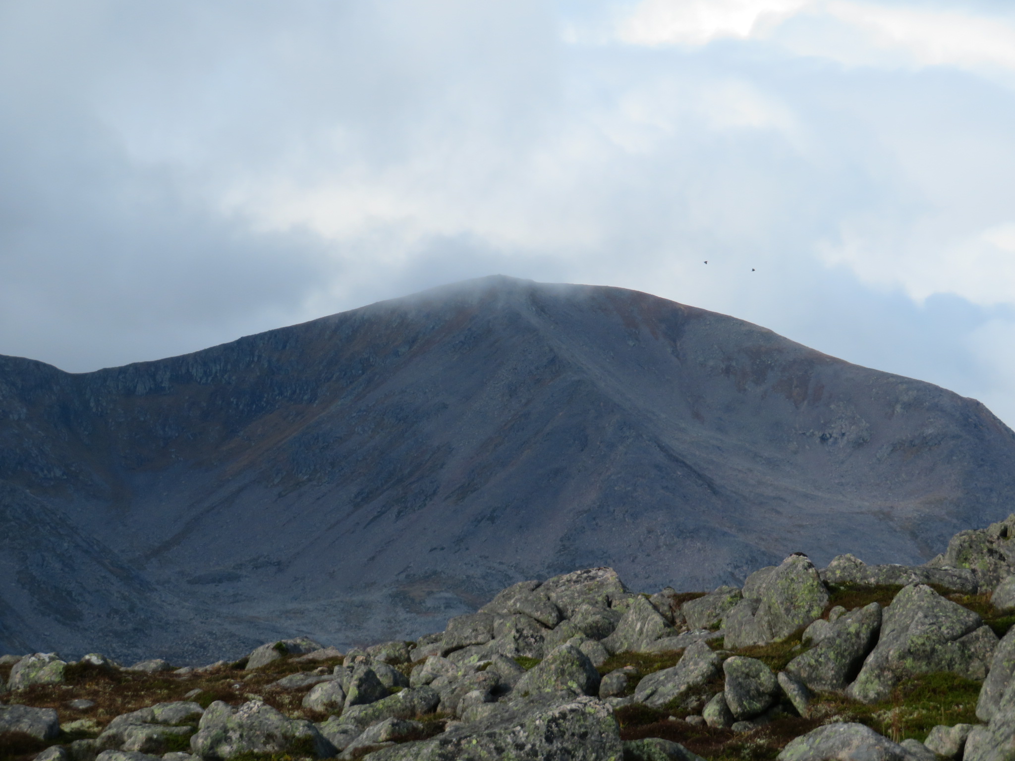 United Kingdom Scotland Cairngorms, Cairn Toul and Braeriach , Cairn Toul from Carn a Mhaim, Walkopedia